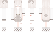 biaminecraft Minecraft Skin