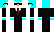 NicePenguin Minecraft Skin