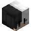 PenguinDiver922 player head preview