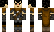 fhic Minecraft Skin