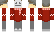 BrushyBoi Minecraft Skin