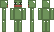 Pan__Zielonka Minecraft Skin