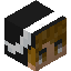 Daviddude01 player head preview