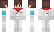 Projeck Minecraft Skin