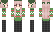 everii_ Minecraft Skin