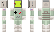 spawnbrick Minecraft Skin