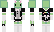 megaturtl Minecraft Skin