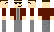 bonusducks42 Minecraft Skin