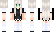 dominig Minecraft Skin