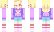 Belle Minecraft Skin