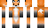 FoxCraftPlayz Minecraft Skin