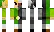 Link_HM Minecraft Skin