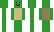 TurtleStudio Minecraft Skin