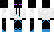 Endermen Minecraft Skin