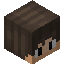CoaI player head preview