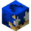 Sonic player head preview