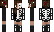 AStelic Minecraft Skin