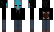 phoenixm77 Minecraft Skin