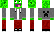 palionowy Minecraft Skin