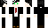 Project_CC Minecraft Skin