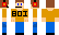 AlexBoiPlays Minecraft Skin