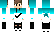 plutobeey384 Minecraft Skin