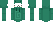 niitrogn Minecraft Skin