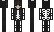 vers Minecraft Skin