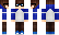 Accord Minecraft Skin