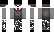 artelo Minecraft Skin