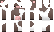 VanTheMSUFan Minecraft Skin