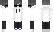 Zign Minecraft Skin