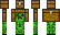 defined Minecraft Skin