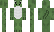 _Carrotlife_ Minecraft Skin