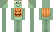 Frog Minecraft Skin