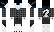 Solidvektor Minecraft Skin