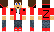 _zwiepie_ Minecraft Skin