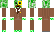 TedNivision Minecraft Skin