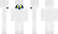 ZockerZitrone Minecraft Skin