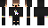 Privex Minecraft Skin