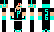 pokefan563 Minecraft Skin