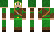 LinkP36 Minecraft Skin