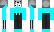 Cloric Minecraft Skin