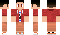 Selant Minecraft Skin