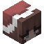to4st player head preview