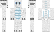 Ethyriel_ Minecraft Skin