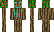 shado_temple Minecraft Skin