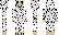 nameicon Minecraft Skin